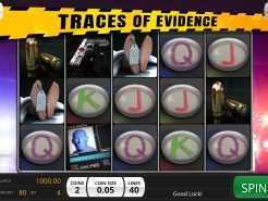 Traces of Evidence Slots